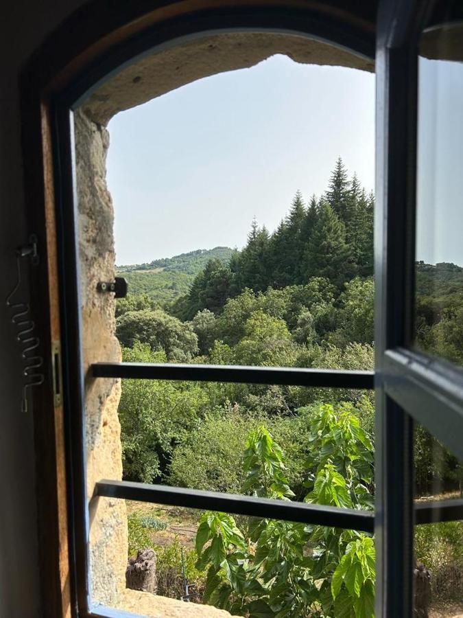 Mas Le Canton Saint-Jean-du-Gard Dış mekan fotoğraf