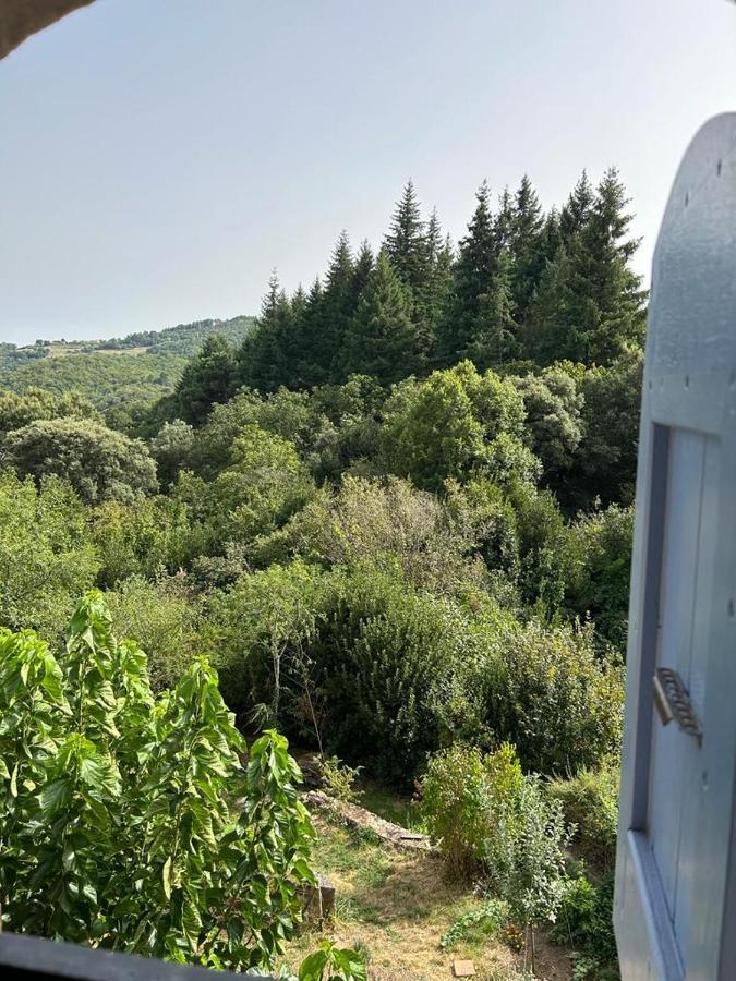 Mas Le Canton Saint-Jean-du-Gard Dış mekan fotoğraf