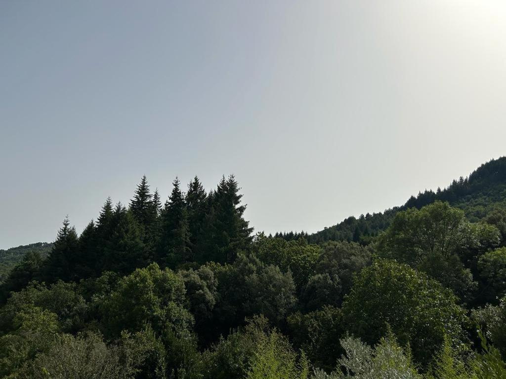 Mas Le Canton Saint-Jean-du-Gard Dış mekan fotoğraf